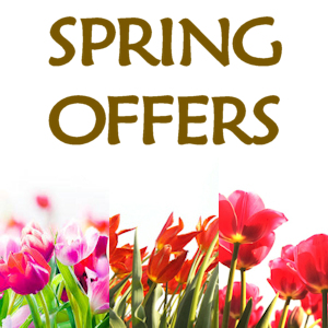 Lake Garda Spring Eden hotel