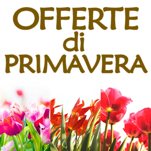 offerte di primavera Eden hotel